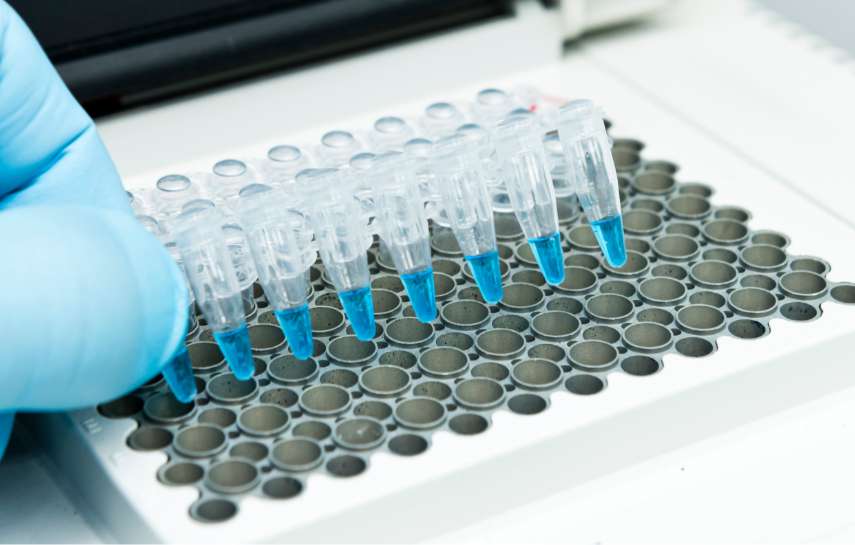 img-biotechnology-applications-wide-no-border